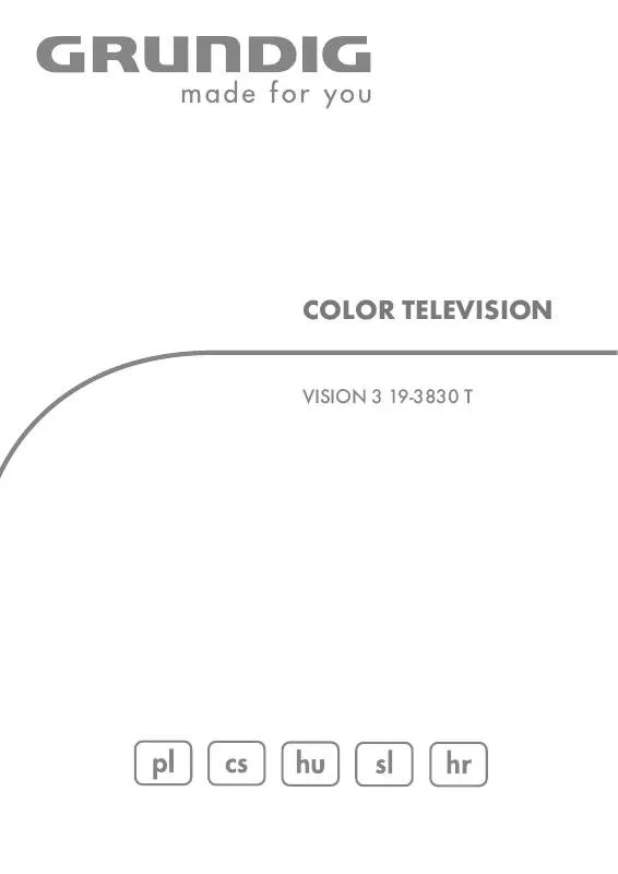 Mode d'emploi GRUNDIG VISION 3 19-3830 T